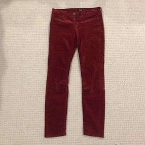 BDG Maroon Velvet Pants
